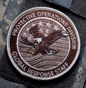 US GLOBAL RESPONSE STAFF GRS PROTECTION OPS DIVISION FUSION CELL velkrö INSIGNIA - Foto 1 di 12