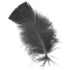 Black Craft Feathers