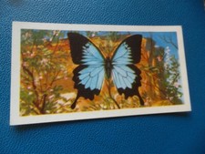 Great Britain Brooke Bond original 1964 teacard "Butterflies of the World" No.22