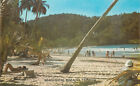 s16794 Maracas Bay beach scene, Trinidad postcard *COMBINED SHIPPING*