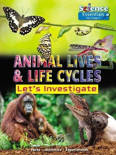 Ruth Owen Animal Lives and Life Cycles: Let's Investigate (Paperback) - Image 1 of 1