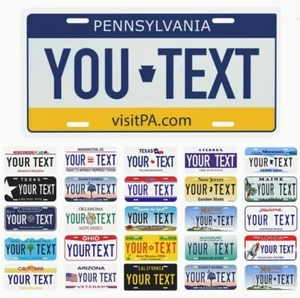 Any State Any Text 250 Custom License Plate Personalized US Canada Mexico - Picture 1 of 250