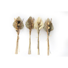 Set of Four Bouquets of Dried Grasses with Palm Spear - Natural Tones, Home Deco