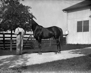 Man O War Pferderennen 8x10 Foto 007 - Bild 1 von 1