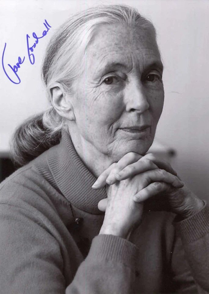 RP Jane Goodall anthropologist and conservationist, Autographed Reprint 8.5x11 - Image 1 of 1