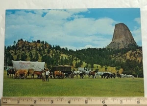 Devil Tower National Monument Wyoming (Jean Dehaven & 20 Mule Train)Oversized PC - Picture 1 of 2