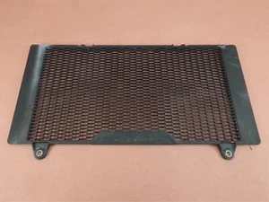 2023-2024 SUZUKI V-STROM 800DE RADIATOR GUARD GRILL PROTECTOR - Picture 1 of 8
