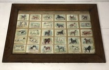 Champion Dogs Complete 30 Card Set 1902 J13 JOHN DWIGHT Soda Church & Dwight Co.