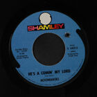 Moonrakers: He's A Comin' My Lord / Love Train Shamley 7" Single 45 Rpm