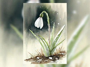 snowdrop flower, print of original watercolour painting - Picture 1 of 7