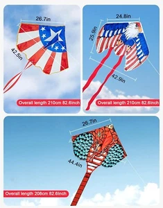 3 Pack Large Kites, Red Giant Snake, National Flag Delta, Sea Eagle W/ Long Tail - Bild 1 von 8