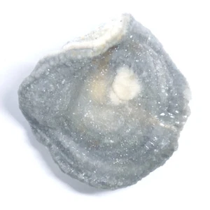 Interessante CHALCEDON Rosette ca. 27 x 28 x 9mm Chalcedonrose BRASILIEN 2402 - Bild 1 von 6