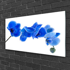 Acrylic print Wall art 100x50 Image Picture Flower Floral