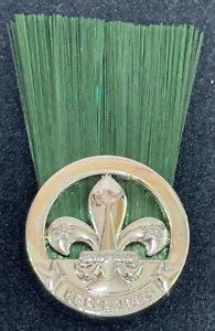 PARCHE DE PLUMA/SOMBRERO DE METAL SCOUTS OF HONG KONG - SCOUT LEADER (MASTER) ~ NUEVO - Imagen 1 de 2