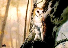 Charles Frace "Barn Owl" #59/1750 w/ COA RARE MINT 