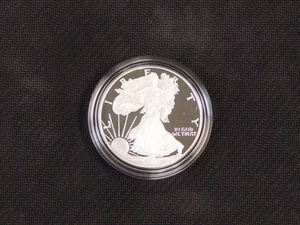 2007 US MINT AMERICAN SILVER EAGLE $1 DOLLAR 1 OZ .999 SILVER PROOF COIN W/ COA - Picture 1 of 6