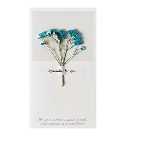 Greeting Card Creative Mantianxing Mother's Day Birthday Teachers Day Dry Flower - Picture 1 of 4