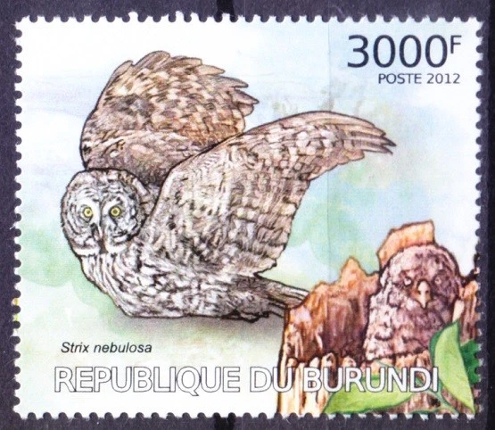Gran búho gris, aves rapaces, Burundi 2012 MNH   Foto 1 de 1