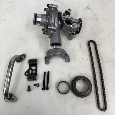 2008  06-08 Triumph Daytona 675 Oil / Water Pump Gear Chain Guide ￼ - Изображение 1 из 4