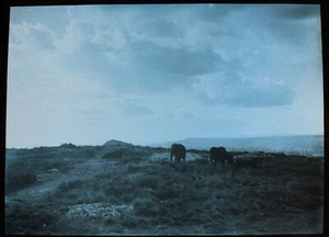 Magic Lantern Slide MUTTERS MOOR OVER HIGH PEAK NEAR SIDMOUTH C1900 PHOTO DEVON - Picture 1 of 2