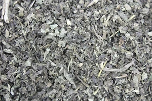 1000Kräuter Patchouliblätter Patschouli geschnitten Tee Folia Pogostemonis 100 g - Bild 1 von 2