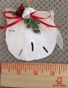 Dólar de arena con temática de playa adorno de Navidad - 3" de ancho - gran regalo - Imagen 1 de 8