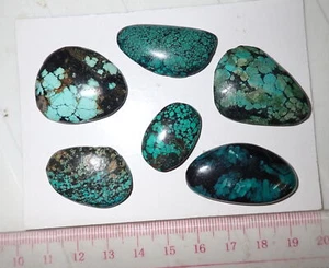 Turquoise Stone Flat Free Form Cabochon 143.5 Carat 6 pieces 28.7 gram - Picture 1 of 5