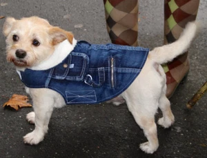 Cool Denim jacket dog coat fleece lining - x small 20cm - small 25cm breeds NEW - Picture 1 of 6