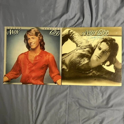 ANDY GIBB 2 LP RECORD LOT- BEE GEES- SHADOW- FLOWING RIVERS — 第 1/4 张图片