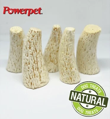 Beef Horn Antlers- 100% All Natural Dog Chew Treats- BRC Certified - Image 1 of 4