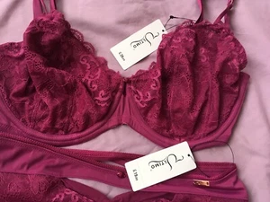 Ultimo Bl Iona Fuller Non Padded bra set Raspberry Lace Sz 32F Knickers 8 £48 - Picture 1 of 7