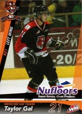 Taylor Gal 2009-10 Medicine Hat Tigers