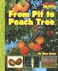 From Pit to Peach Tree (Scholastic News Nonfiction Readers: How Things Gr - GOOD