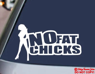 SIN FAT CHICKS VINILO CALCOMANÍA PEGATINA VENTANA PARED COCHE PARACHOQUES JDM EURO DOPE DIVERTIDO Foto 1 de 2