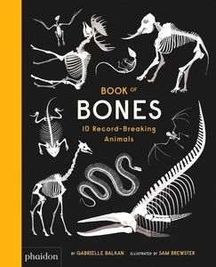 Book of Bones: 10 Record-Breaking Animals by Gabrielle Balkan (English) Hardcove - Foto 1 di 1