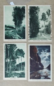 MASSA PROVINCIA-MARINA DI MASSA-LOTTO 4 CARTOLINE-D7-170 - Picture 1 of 1