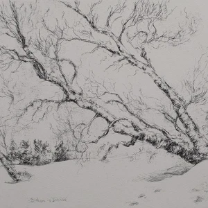 Hans Dietmann paisaje de invierno abedules nieve contemporáneo sign grabado siglo 20 - Imagen 1 de 4