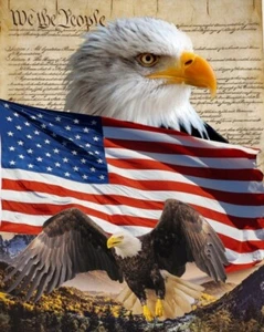David Textiles - Eagle 🦅🦅 And Constitution 🇺🇸🇺🇸 Quilting Fabric Panel - Picture 1 of 2