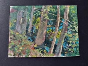 Pintura al óleo de artista listado Gordon Pagnello 9" x 12" PINTURA DE LA NATURALEZA - Imagen 1 de 4