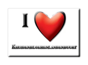 Kruidenbloemenlandenbuurt, Noordenveld, Drenthe - Koelkastmagneet Holland - Bild 1 von 9