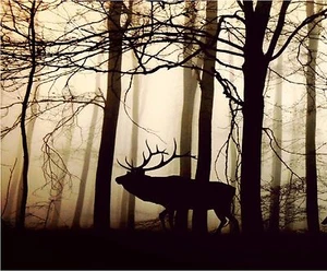 STIER ELCH IM WALD COMPUTER MAUSPAD 9 X 7 - Bild 1 von 1