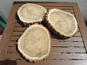 3 x Baumscheibe AKAZIE Natur 28 cm groß 4 cm dick Holzscheiben Deko - Bild 1 von 5