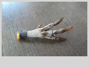 Antique Scottish Grouse Claw Silver With Engraved band amber stone vintage - Picture 1 of 3