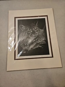 Scratchboard Artist Signed Original Tabby Cat Kitten JK Carpenter JKC B&W 42/100 - Picture 1 of 7