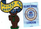 Girl Guide Badges GUIDES ARE GREAT ! + OLAVE HOUSE LONDON