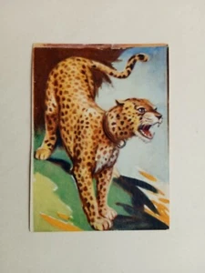 NUOVA RACCOLTA FIGURINE ANIMALI LAMPO 1954 n 120 DA RECUPERO - Bild 1 von 2