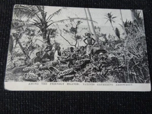 Unter den freundlichen Inseln Eingeborene sammeln Pfeilwurzel Postkarte Tonga - 104608 - Bild 1 von 2
