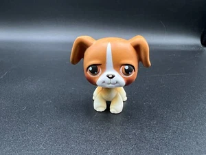 Boxer Hasbro Littlest Pet Shop LPS #25 marrón y blanco con ojos marrones - Imagen 1 de 4