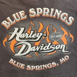 CAMISETA VINTAGE HARLEY DAVIDSON Feel The Hear manga corta 2xl hecha en ee. uu. - Imagen 1 de 5