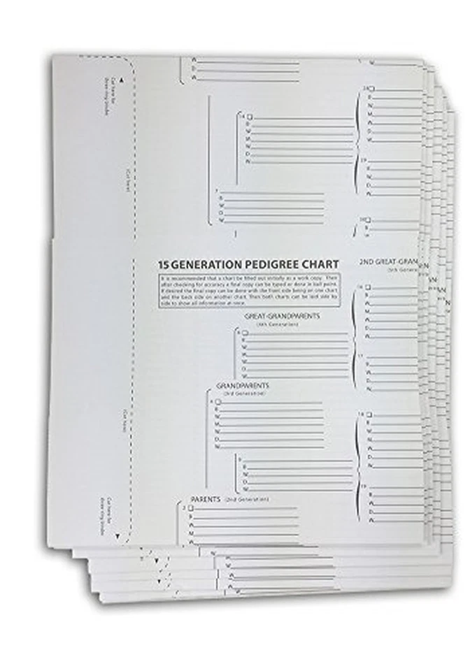 Treeseek 15 Generation Pedigree Chart 5 Pack Blank Genealogy Forms for Family Hi